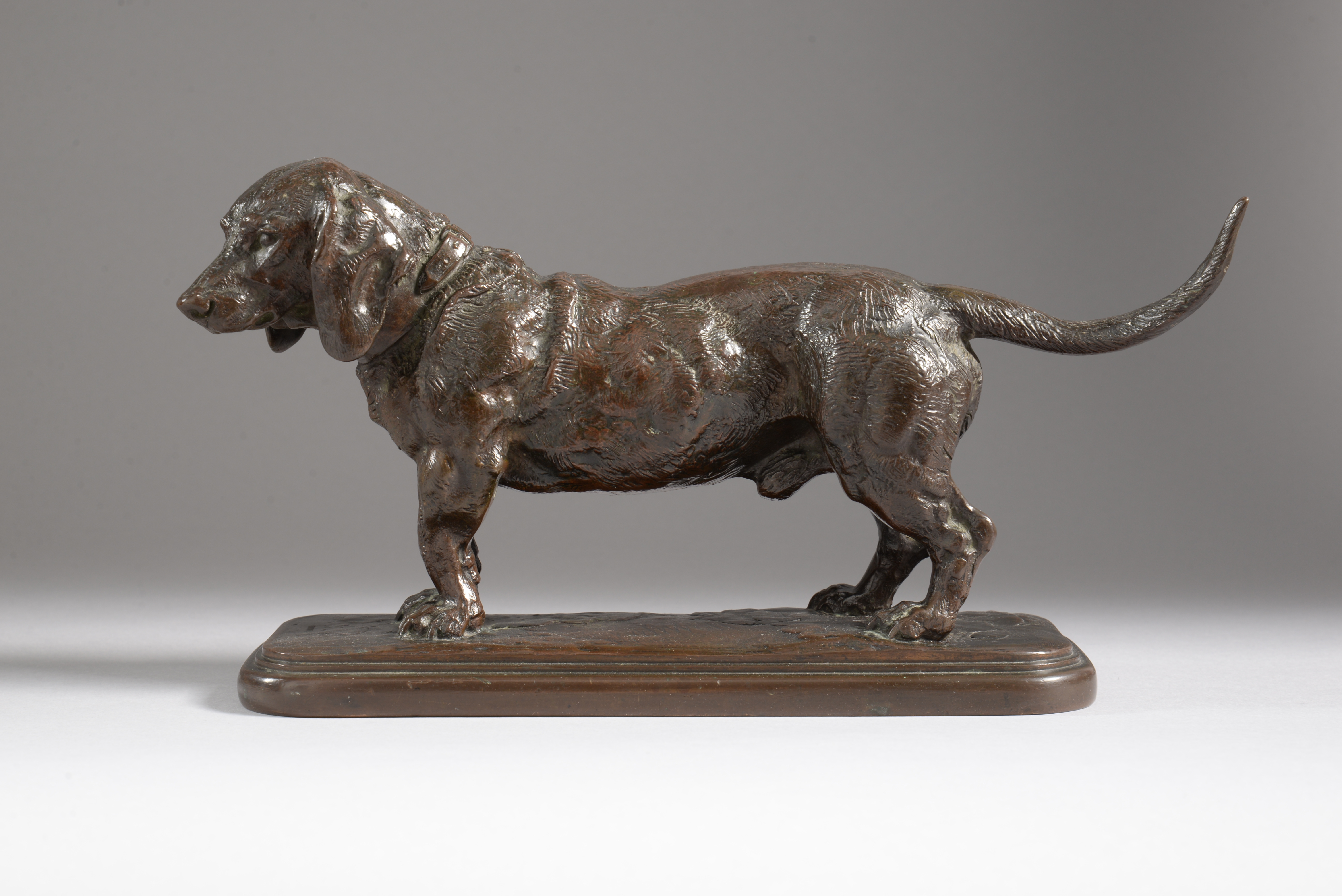 BASSET DEBOUT (tête tournée à gauche) (1840)